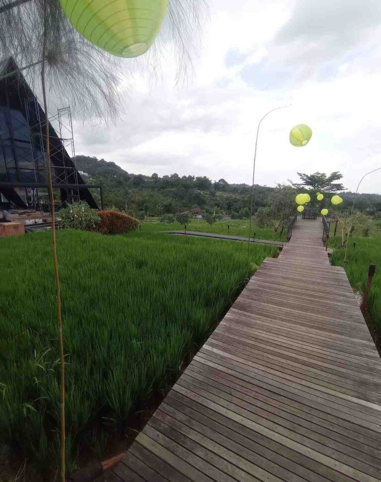 View glamping lenira