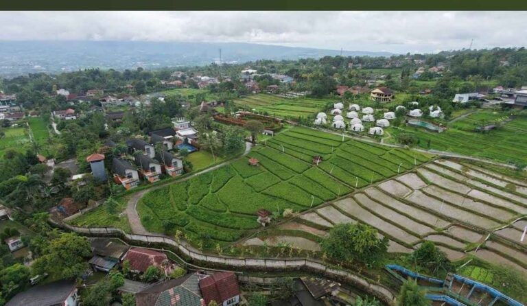 View glamping lenira