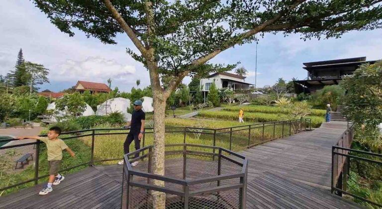 View glamping lenira