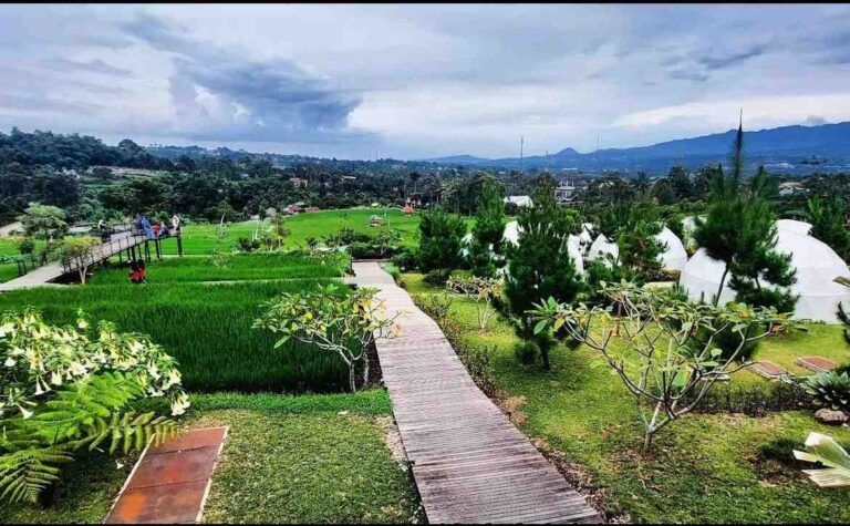 View glamping lenira