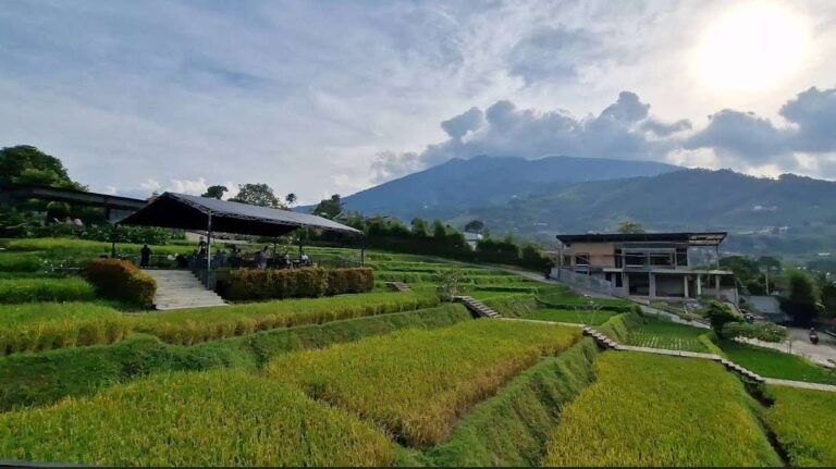 View glamping lenira
